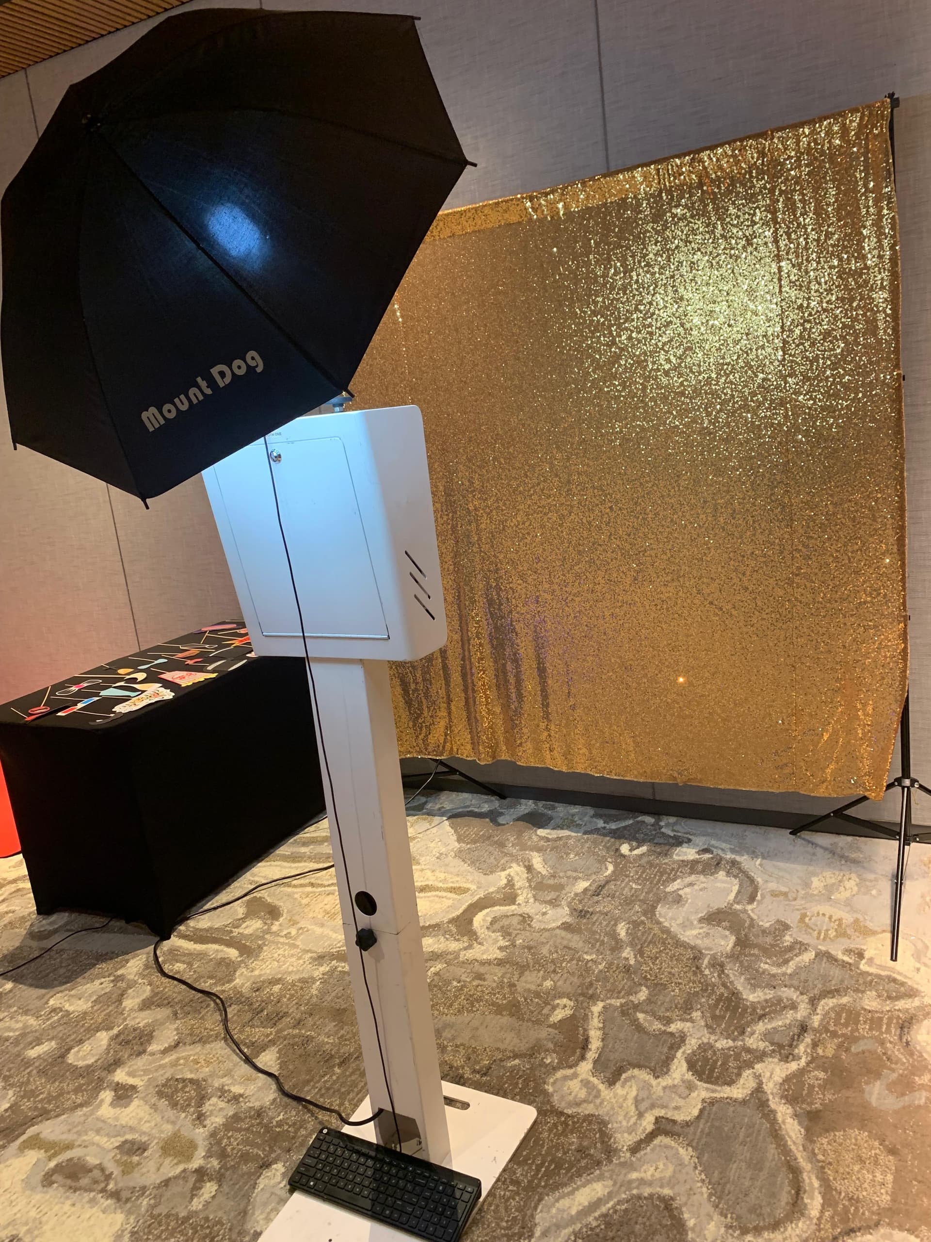 Chic Velvet Backdrop & Studio Lighting